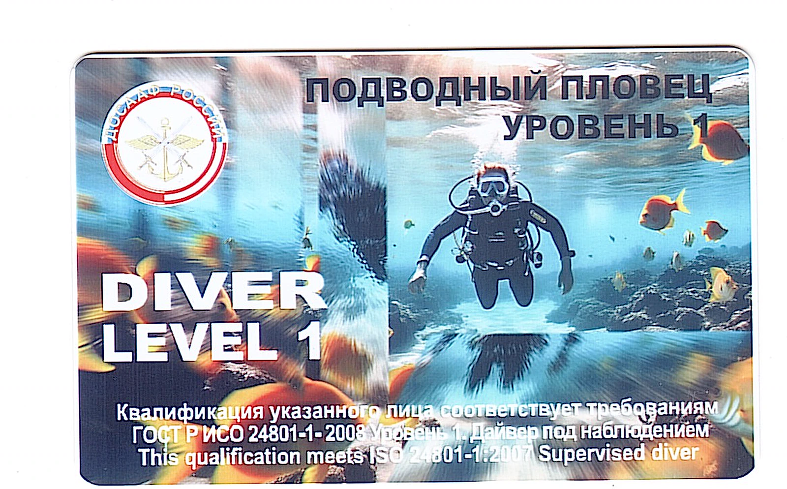 Сертификат Натальи Гурьевой «Подводный пловец — уровень 1»